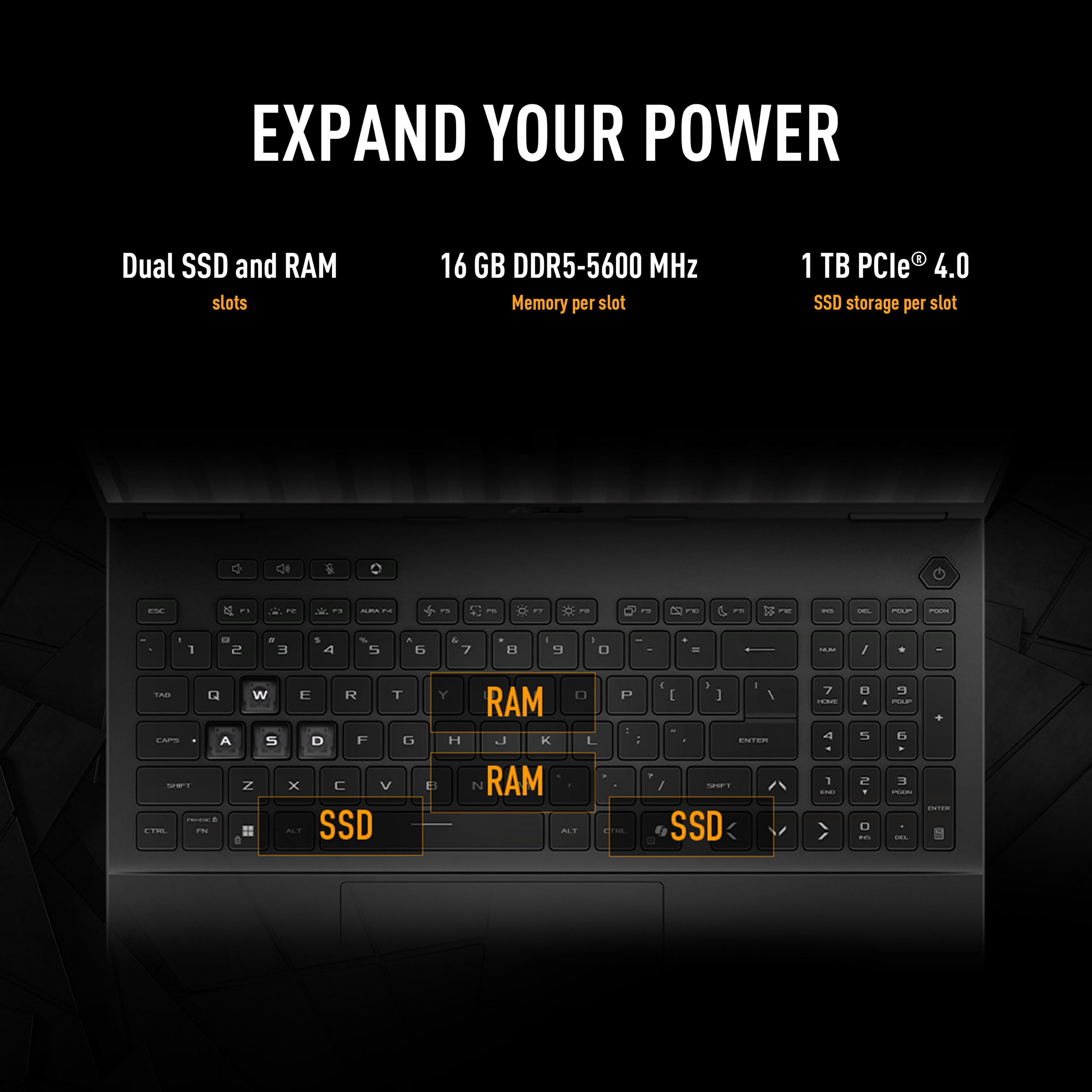 Product Gallery