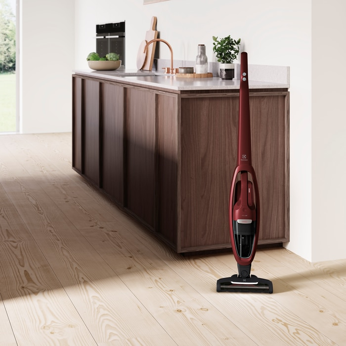 Electrolux WQ71-ANIMA 2-in-1 stick vacuum Battery – image 3