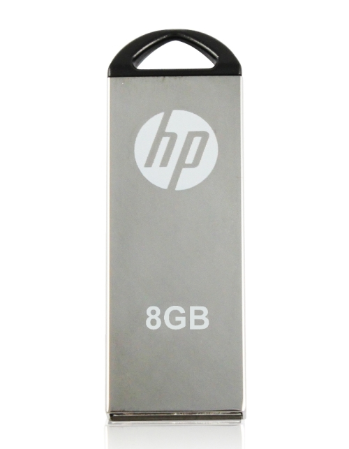 HP v220w 8GB