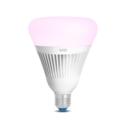 WiZ Colors G100