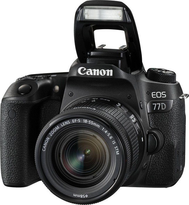 Canon 77D + 18-55mm F4.0-5.6 IS STM + EF-S 55-250mm F4-5.6 IS STM