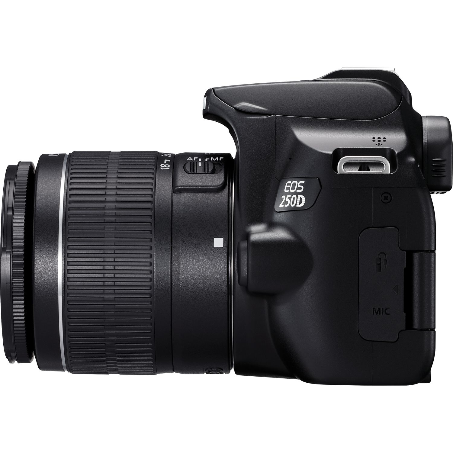 Canon 250D + EF-S 18-55mm f/3.5-5.6 III + SB130 – image 8
