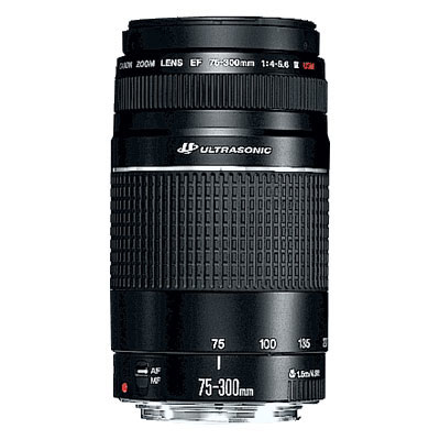 Canon 1000D + EF-S 18-55mm + EF 75-300mm – image 3