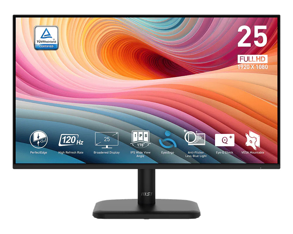 MSI PRO MP251LDE E2