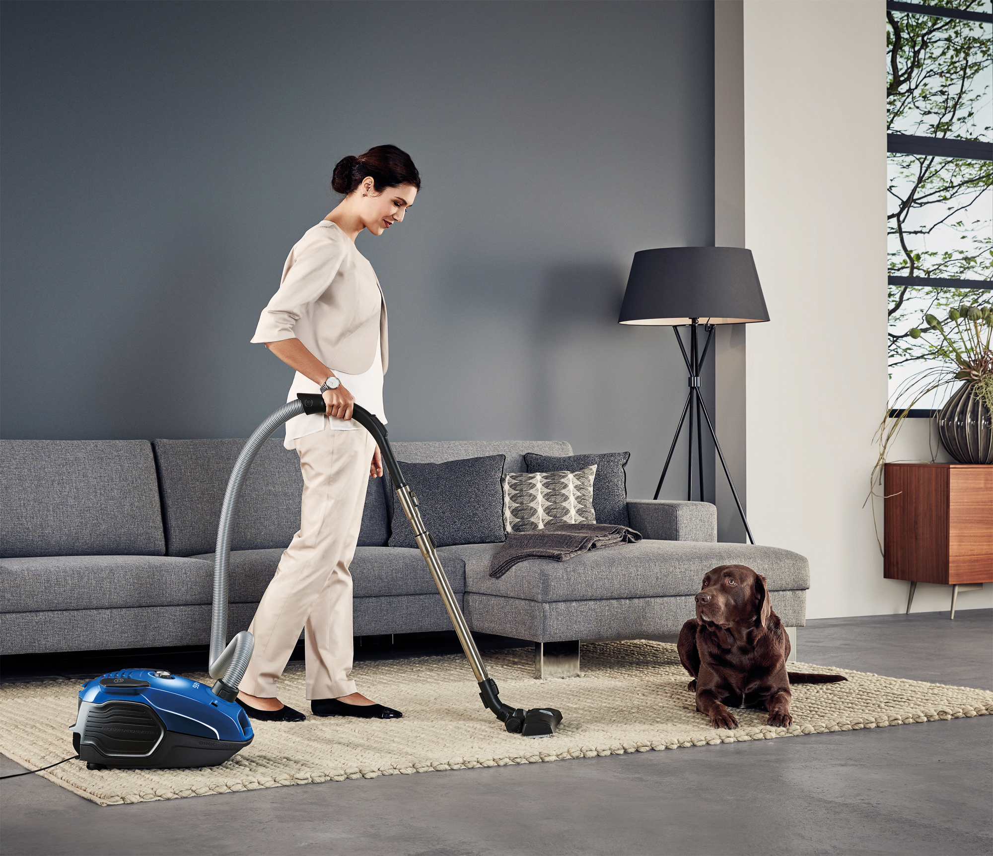 AEG VX6-1-SK-P Cylinder vacuum Dry – image 3