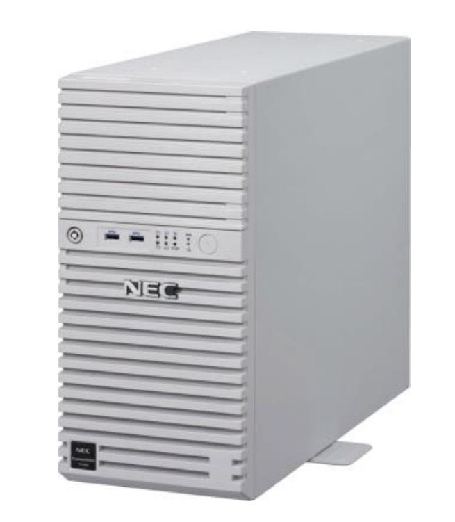 NEC Express5800/T110h Midi-Tower White Intel® C236