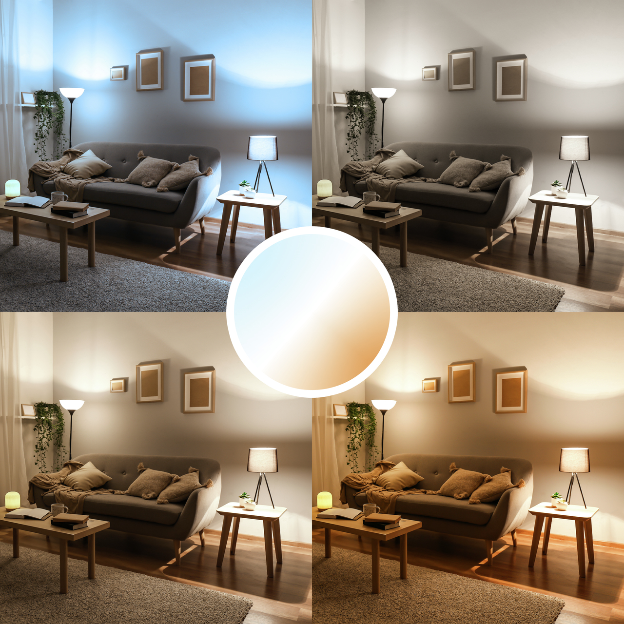 Trust 71284 smart lighting Smart bulb Wi-Fi – image 3
