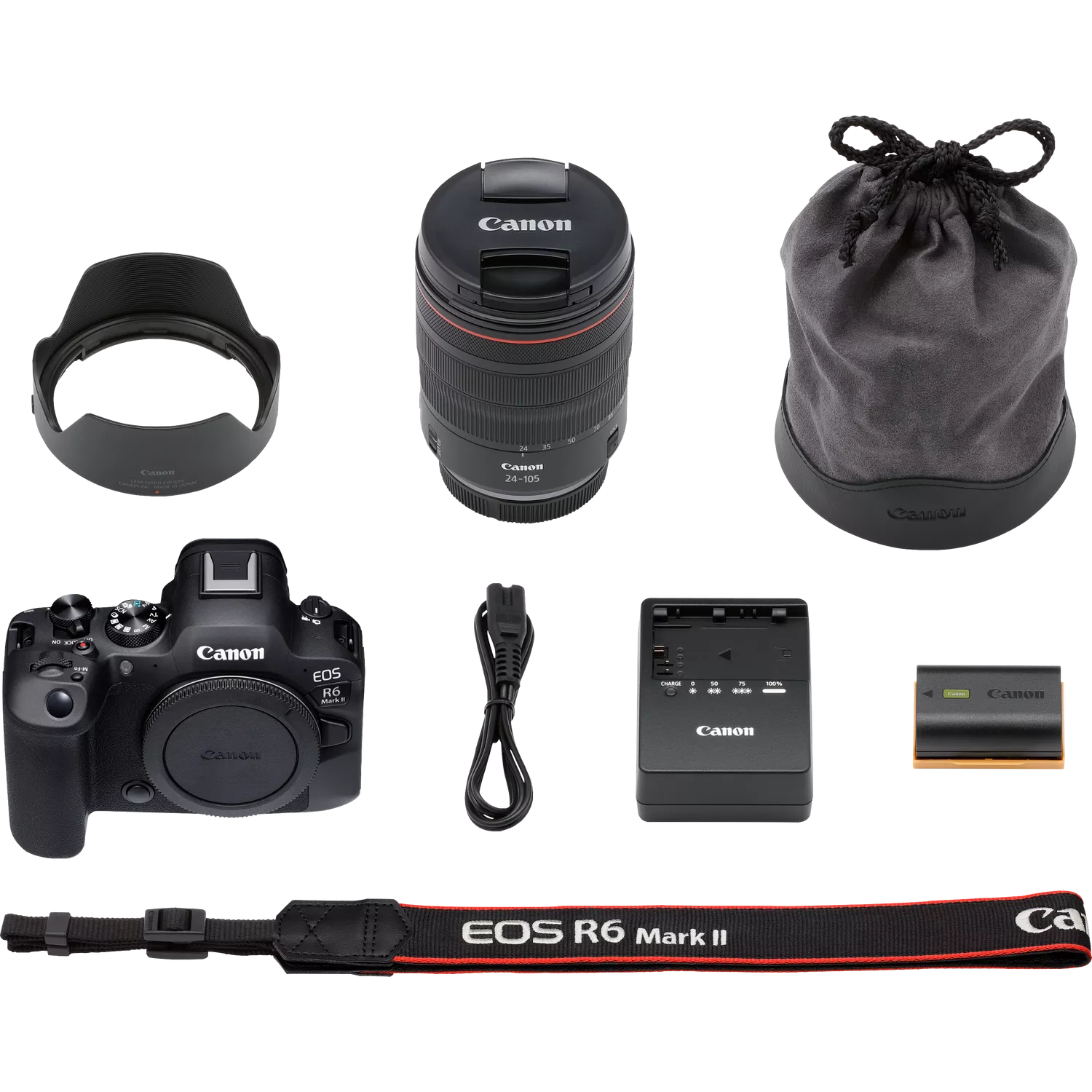 Canon EOS R6 Mark II + RF 24-105mm F4 L IS USM – image 9
