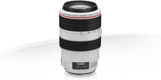 Canon Zoomobjektiv EF 70-300mm f / 4.0-5.6 IS II USM - CHF 100 CB