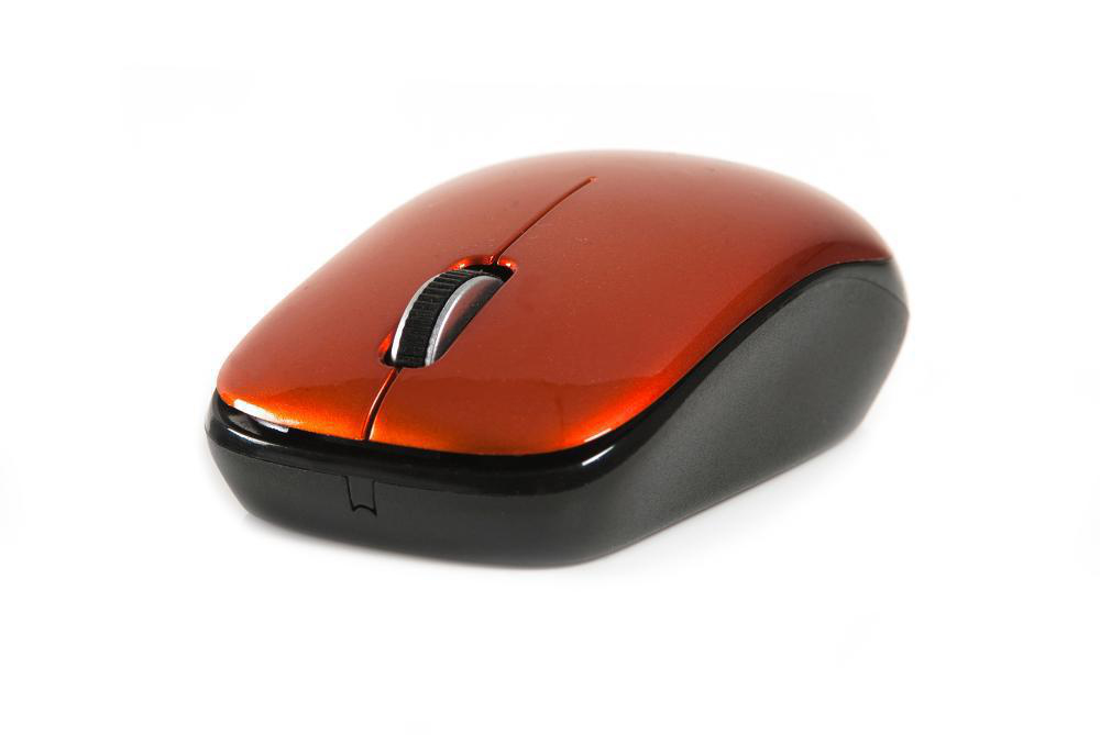 NGS Orange Spice – image 6