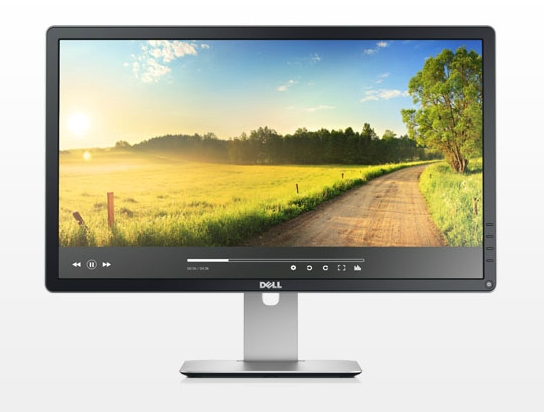 Dell Professional P2414H computer monitor