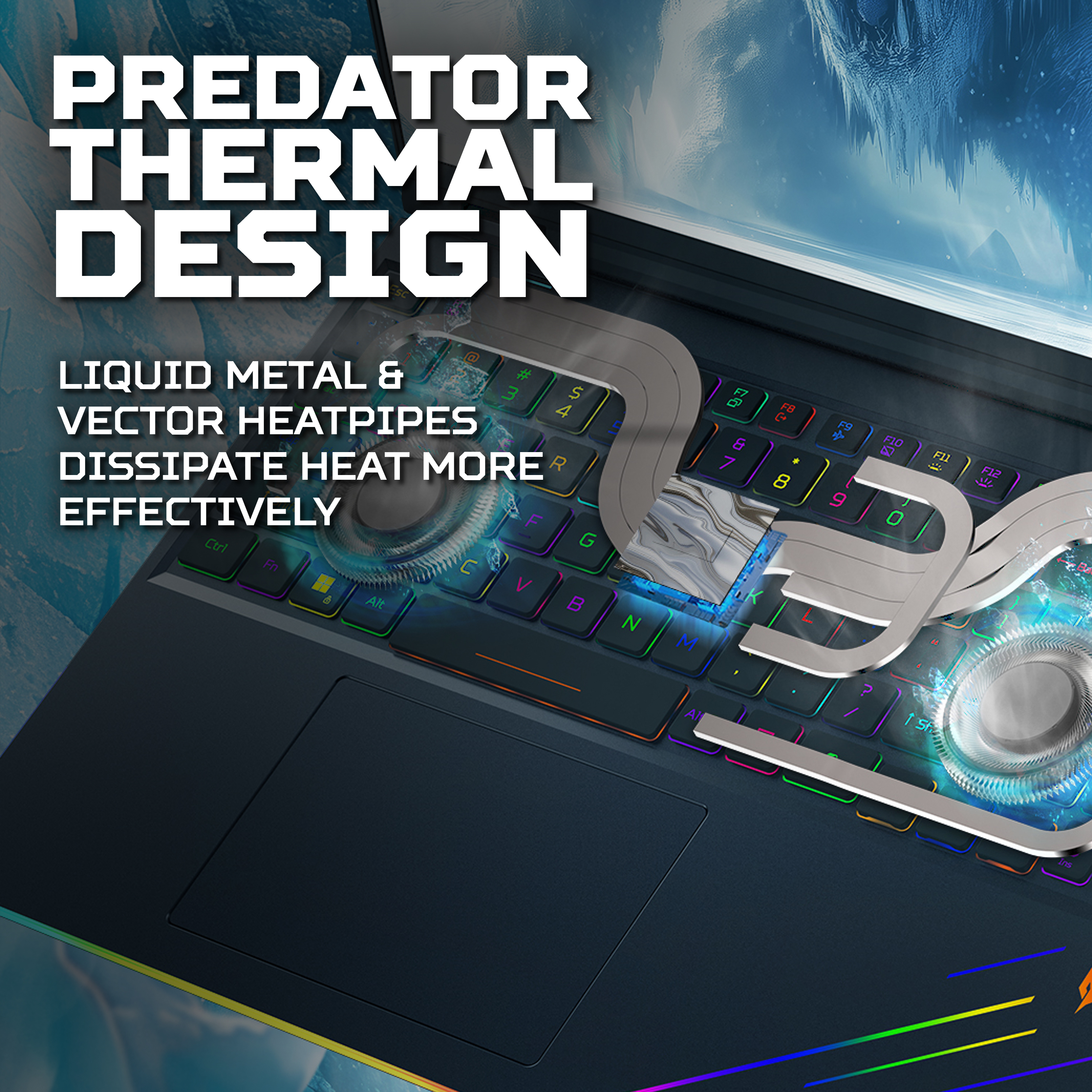 Product Gallery