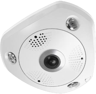 LevelOne FCS-3095 security camera Spherical IP security camera Indoor & outdoor