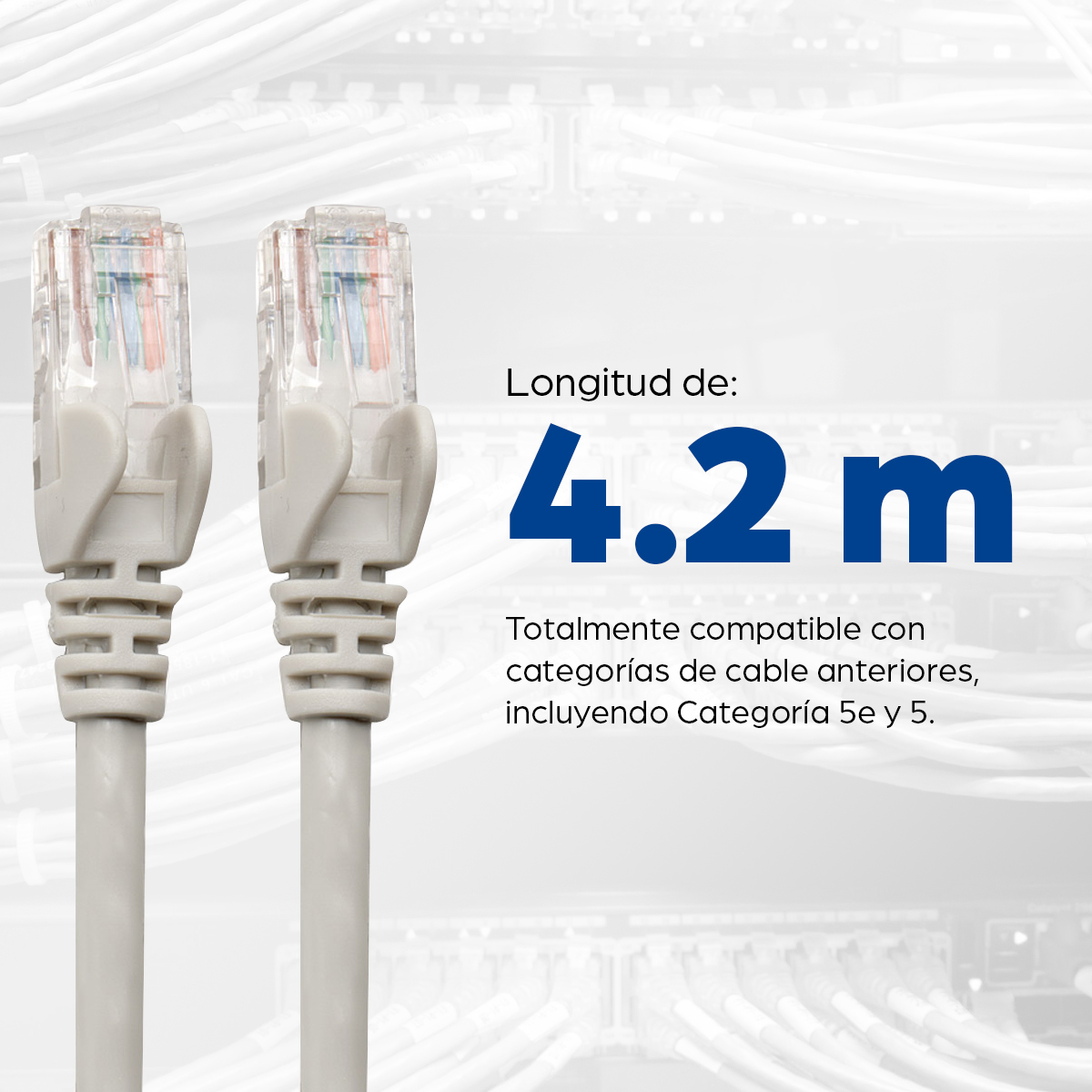 Cable Ethernet Cat6 5m Intellinet 336765