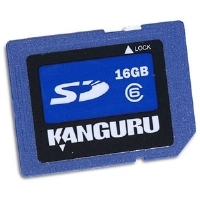 iStorage 16GB SD Card
