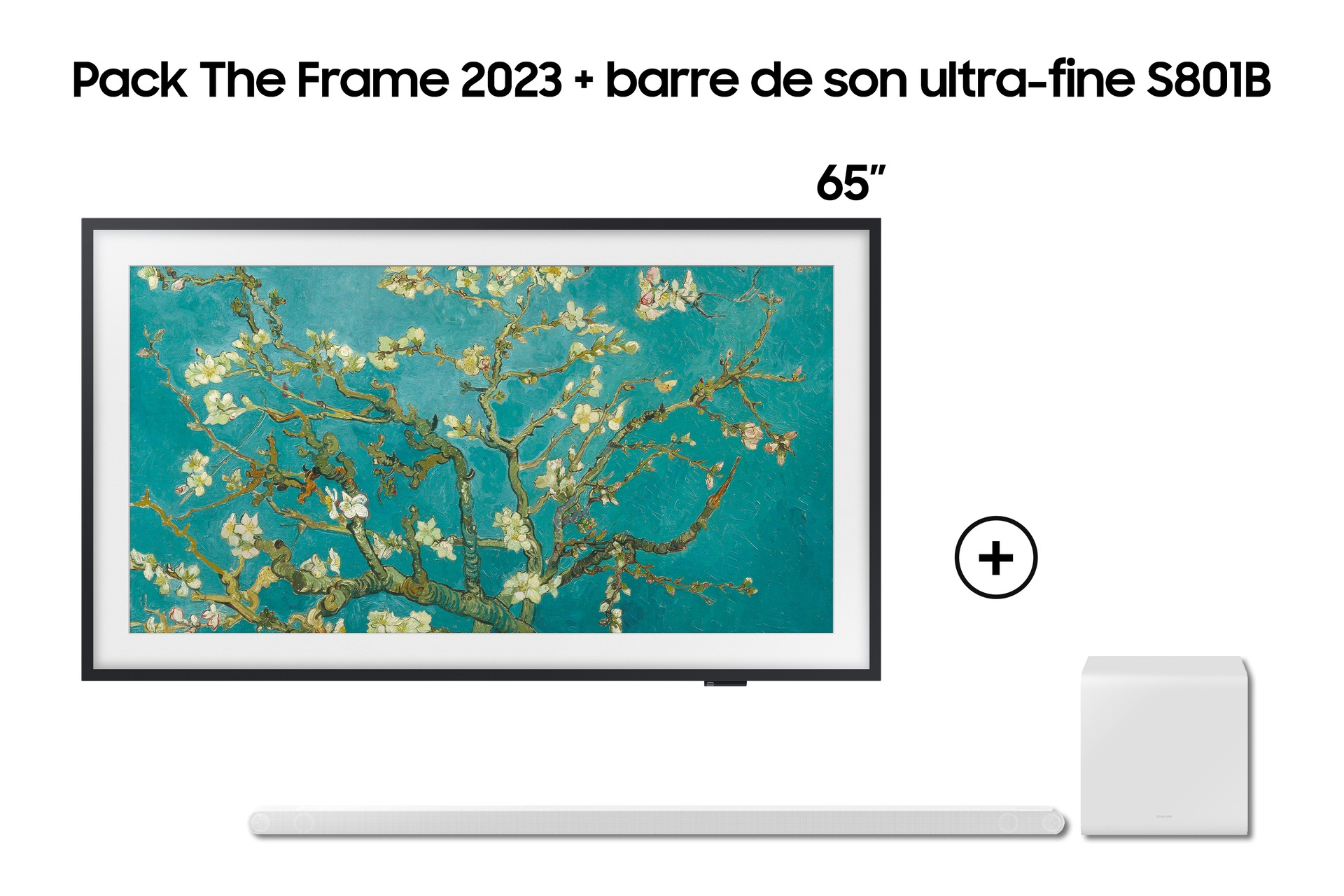 Samsung F-TQ65-HWS8-V1 65" — vue 1 sur 6