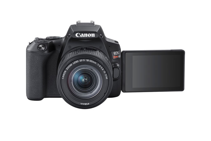 Canon Rebel SL3 + EF-S 18-55mm IS STM – image 4