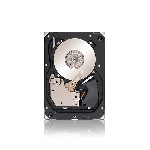 Seagate T10 SAS, 300GB