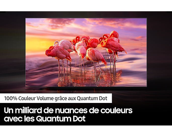 Samsung Series 5 32Q50A 81,3 cm (32 ) Full HD Smart TV Wifi Noir Neuf — photo 4