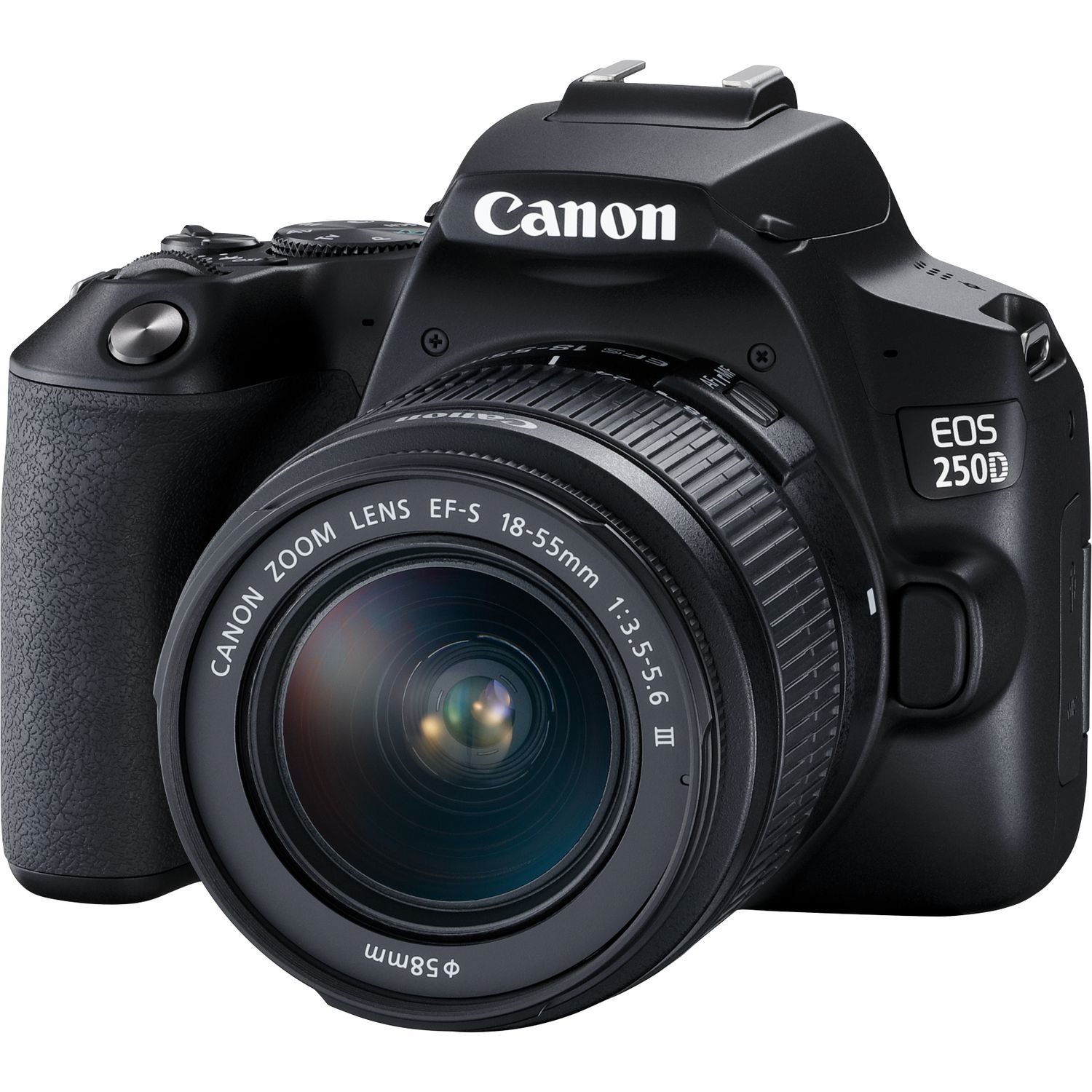 Canon 250D + EF-S 18-55mm f/3.5-5.6 III + SB130 – image 3