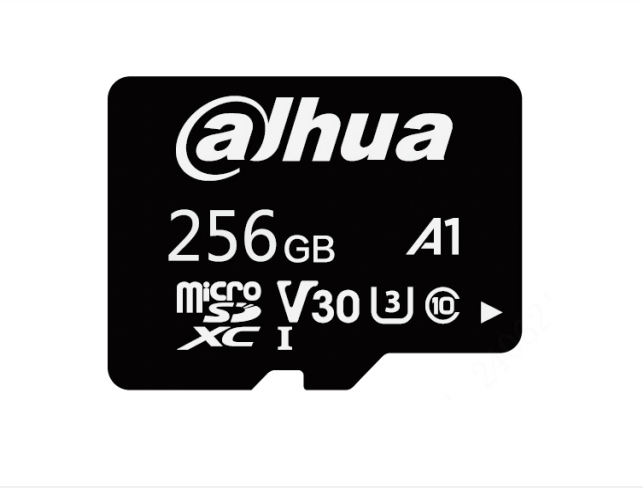 Dahua Technology TF-L100-256GB MicroSDXC UHS-I Class 10