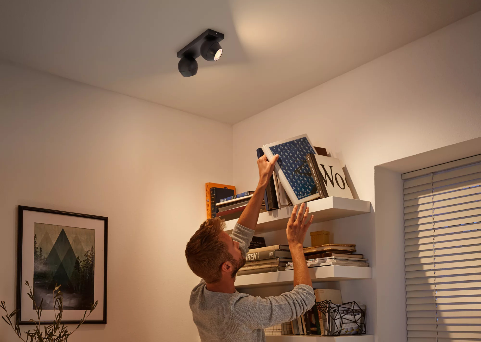 Philips by Signify Philips Hue White ambience Buckram double spotlight – image 2