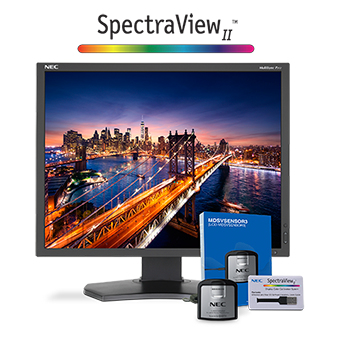 NEC P212-BK-SV computer monitor