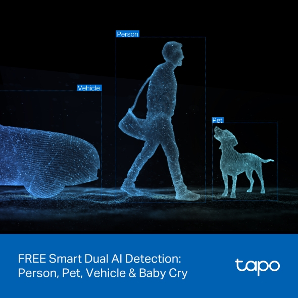 TP-Link Tapo C245D Spherical IP security camera Indoor – image 9