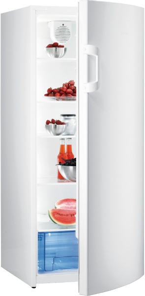 Gorenje R60319DW fridge Freestanding