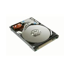 CoreParts 80GB IDE