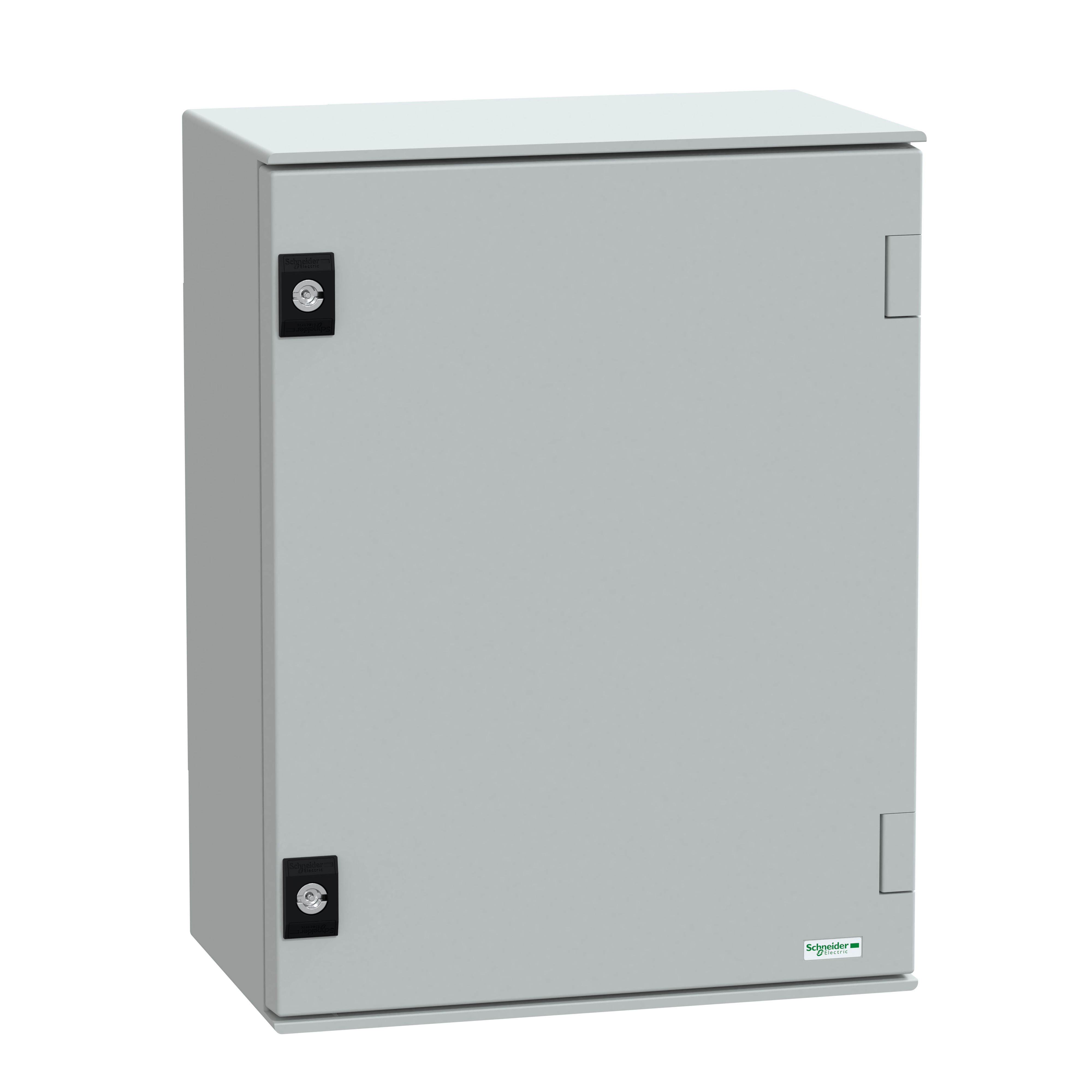 Schneider Electric NSYPLM43G centralino Poliestere IP66