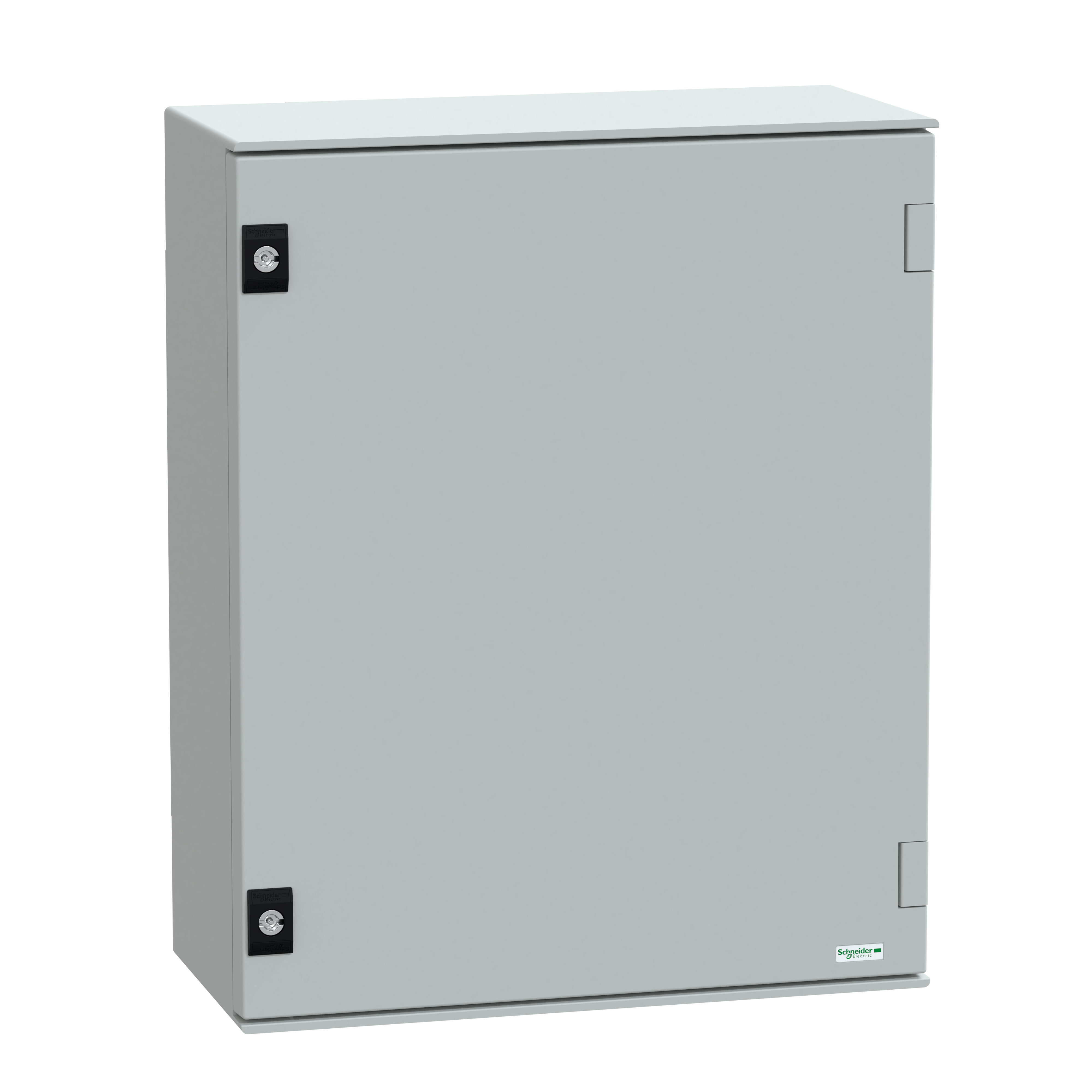 Schneider Electric NSYPLM54G centralino Poliestere IP66