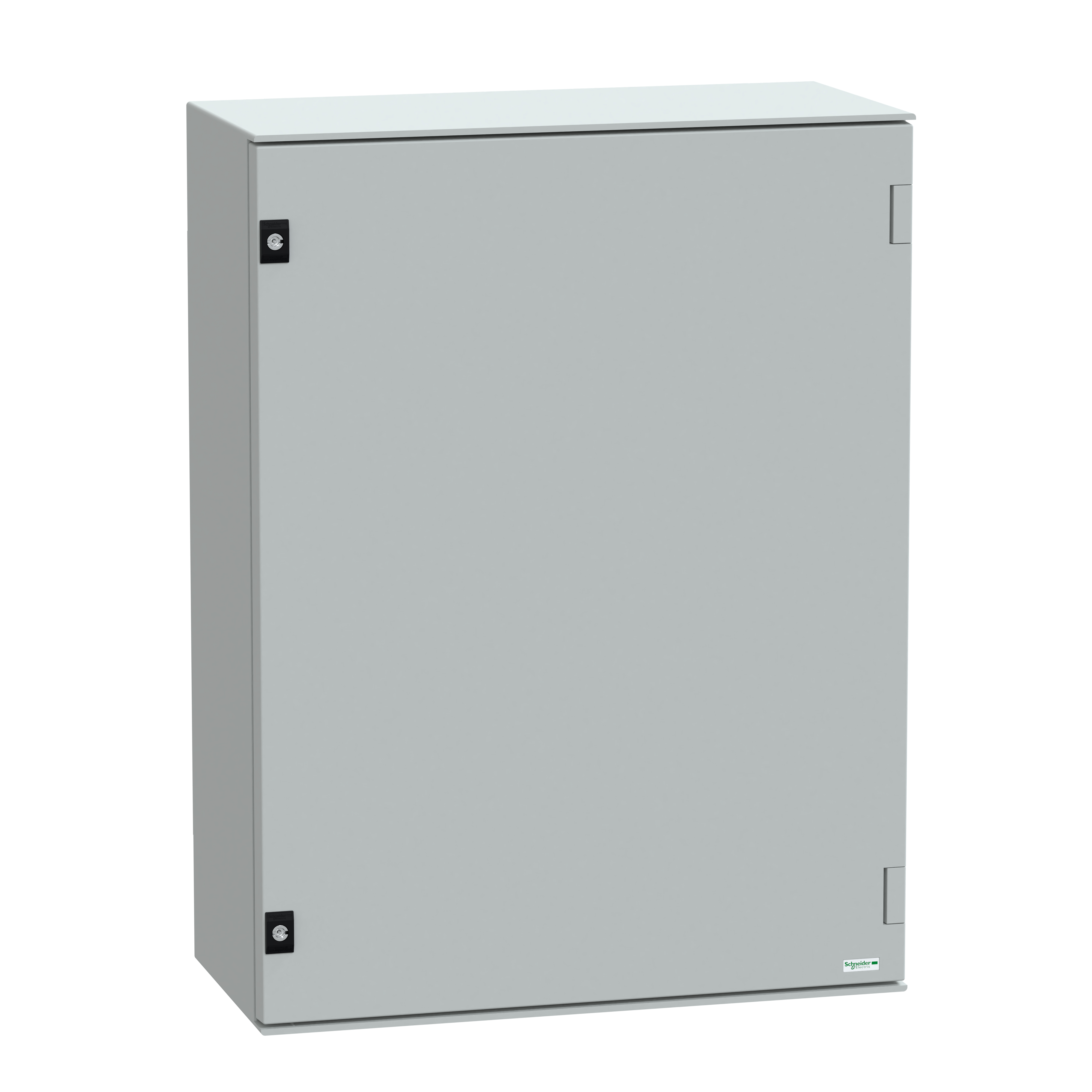 Schneider Electric NSYPLM86G centralino Poliestere IP66