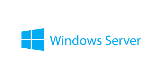 Lenovo Windows Remote Desktop Services CAL 2019 Klientåtkomstlicens (CAL) 50 licens/-er