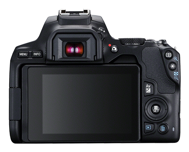 Canon 250D + EF-S 18-55mm – image 3