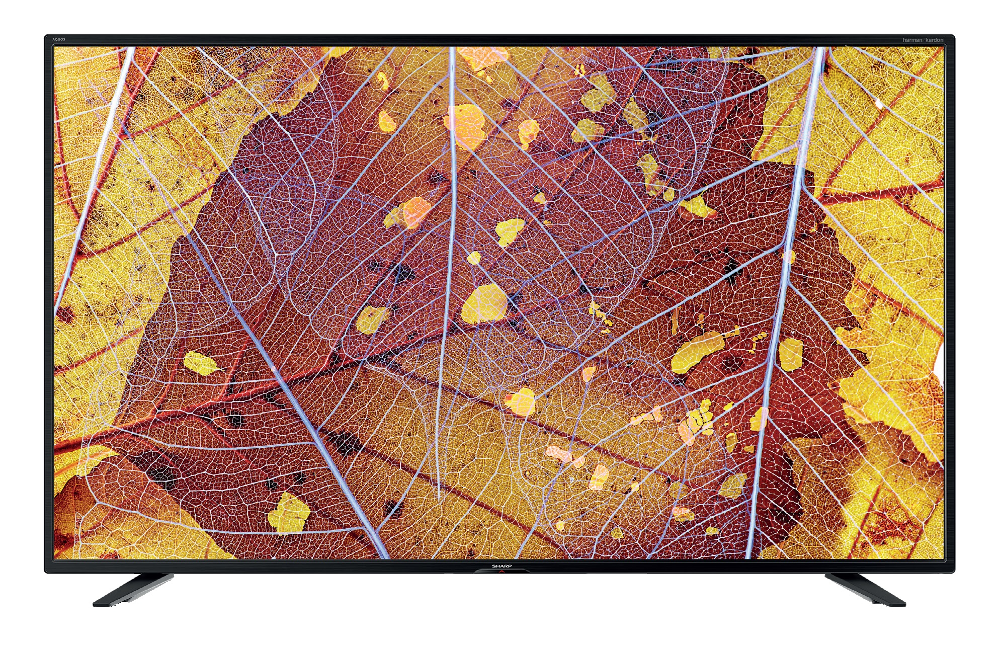 Sharp Aquos 40BJ4E – image 7