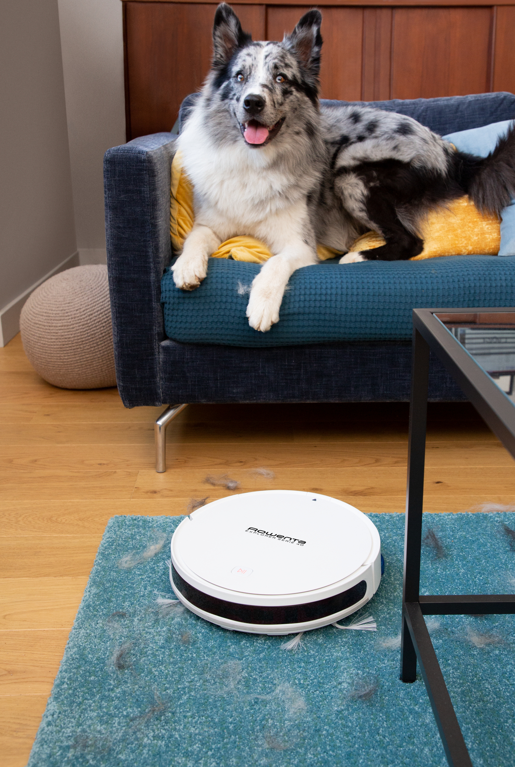 Rowenta Explorer RR7267 White – image 8