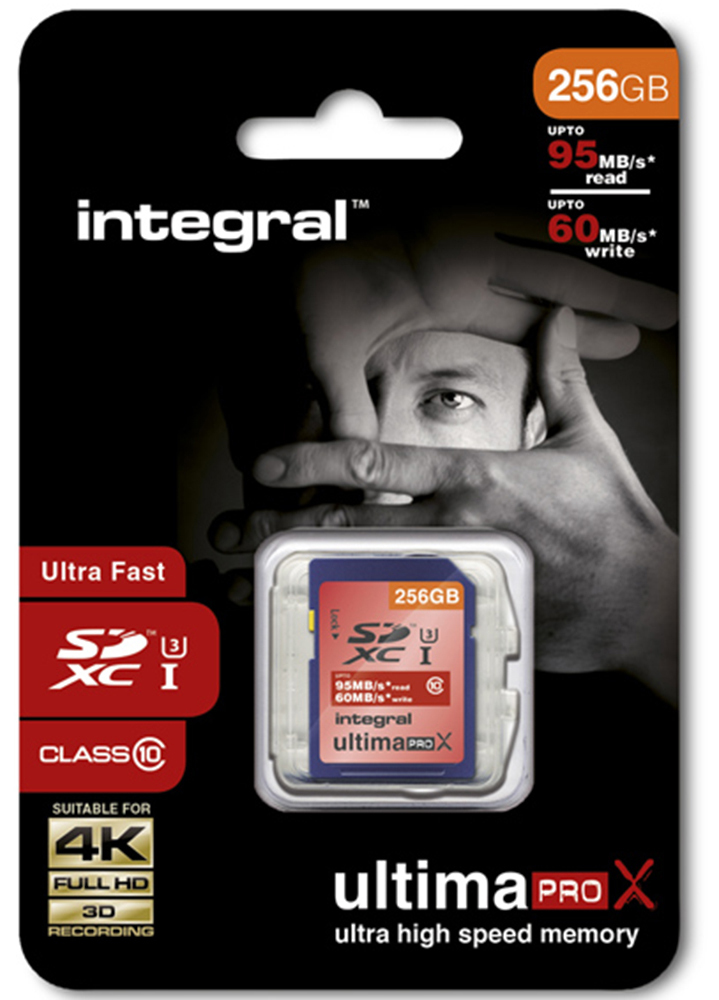 Integral INSDX256G10-95/60U1 – image 2