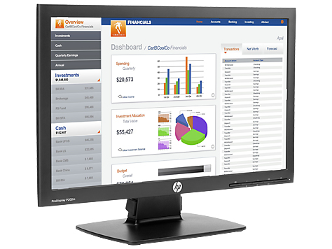 HP ProDisplay P202m – image 3