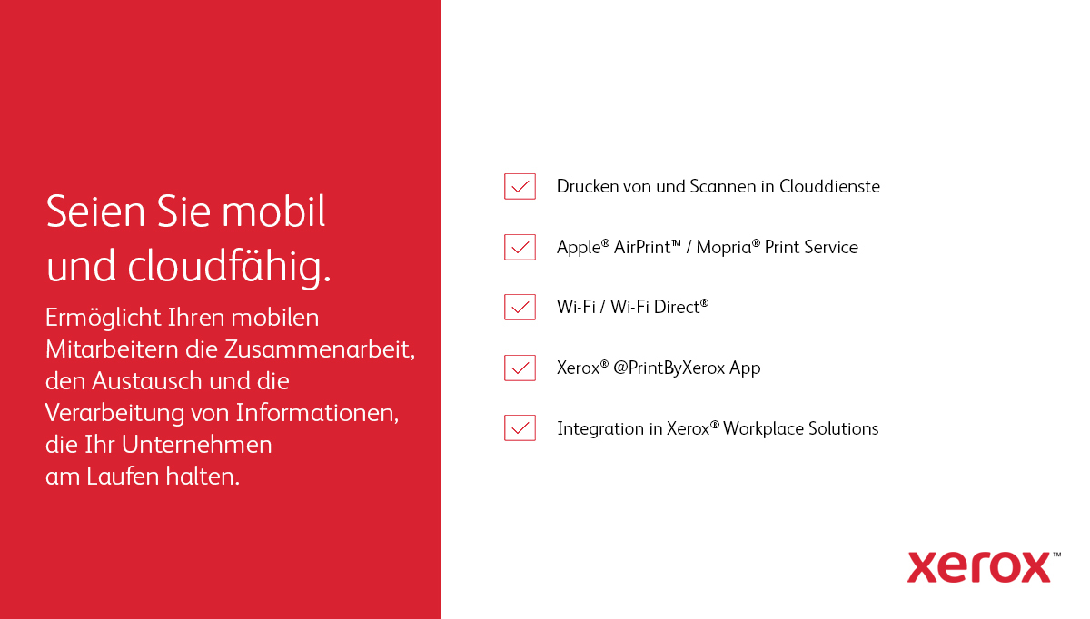 Bild 20