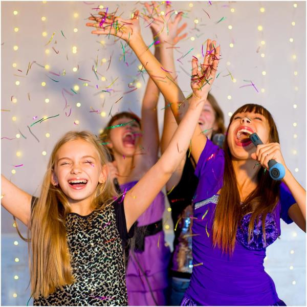 Celly FESTIVALLB karaoke system Portable Wireless – image 3