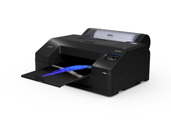 Product Gallery