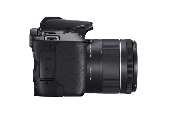 Canon Rebel SL3 + EF-S 18-55mm IS STM – image 6