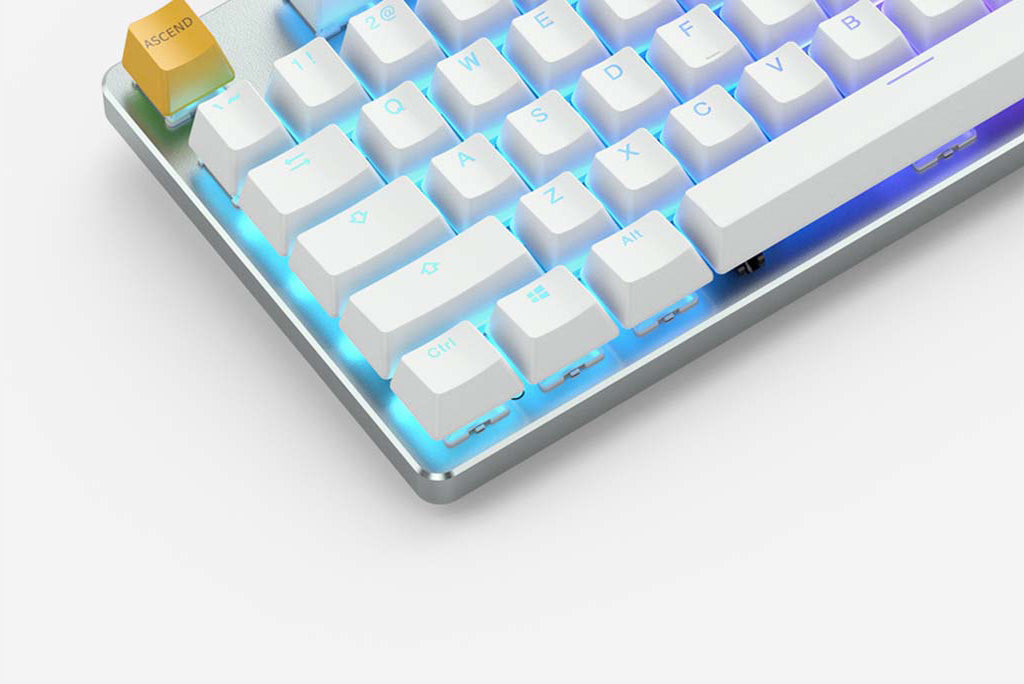 Glorious Gaming GMMK keyboard USB QWERTY US International Silver, White – image 3