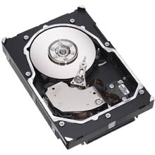 Seagate Cheetah 15K.5 SAS 146.8GB