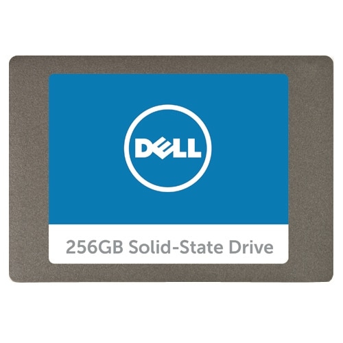 DELL A9794105 SSD-hårddisk 2.5' 256 GB SATA