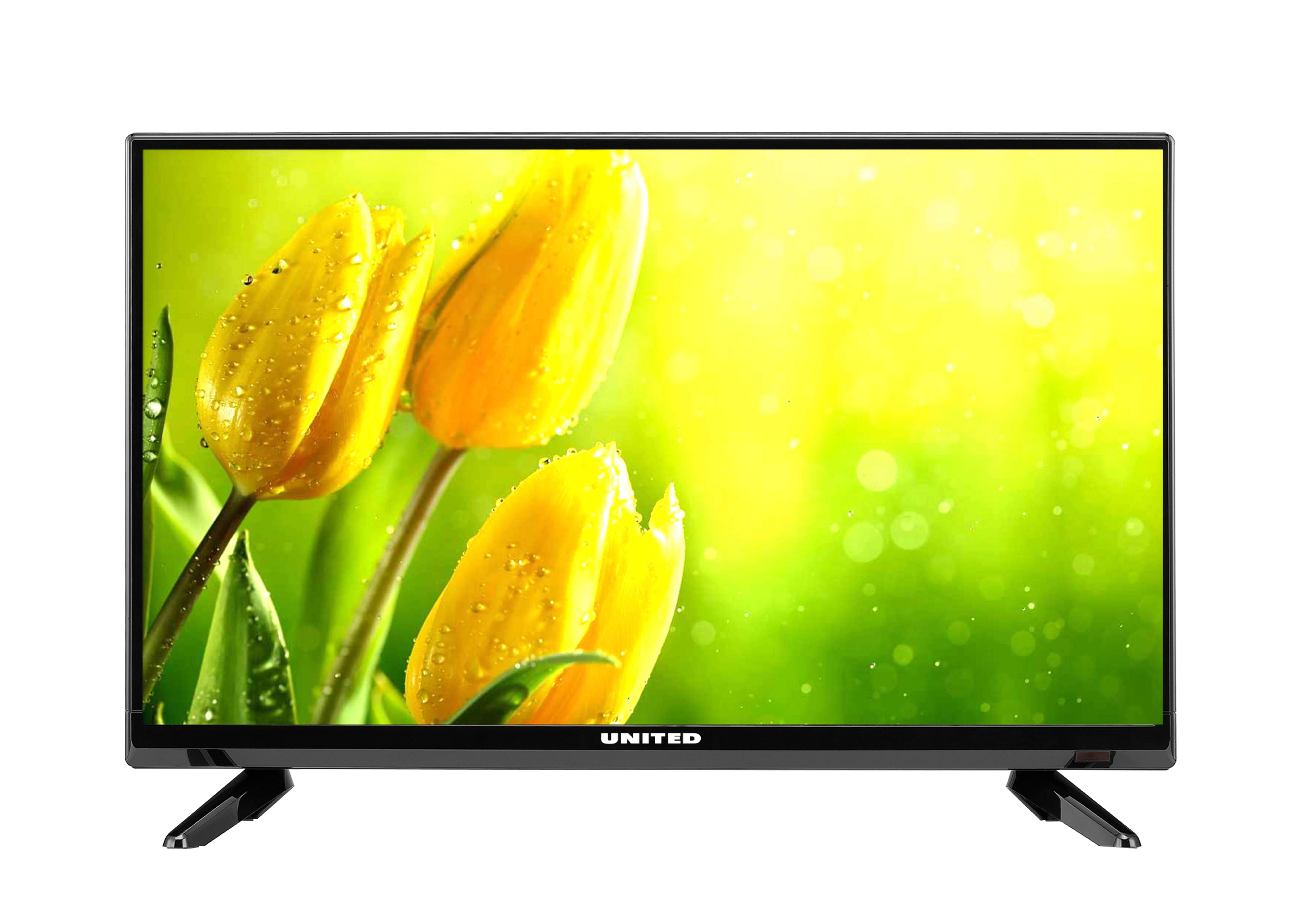 United H42 24" — vue 1 sur 1