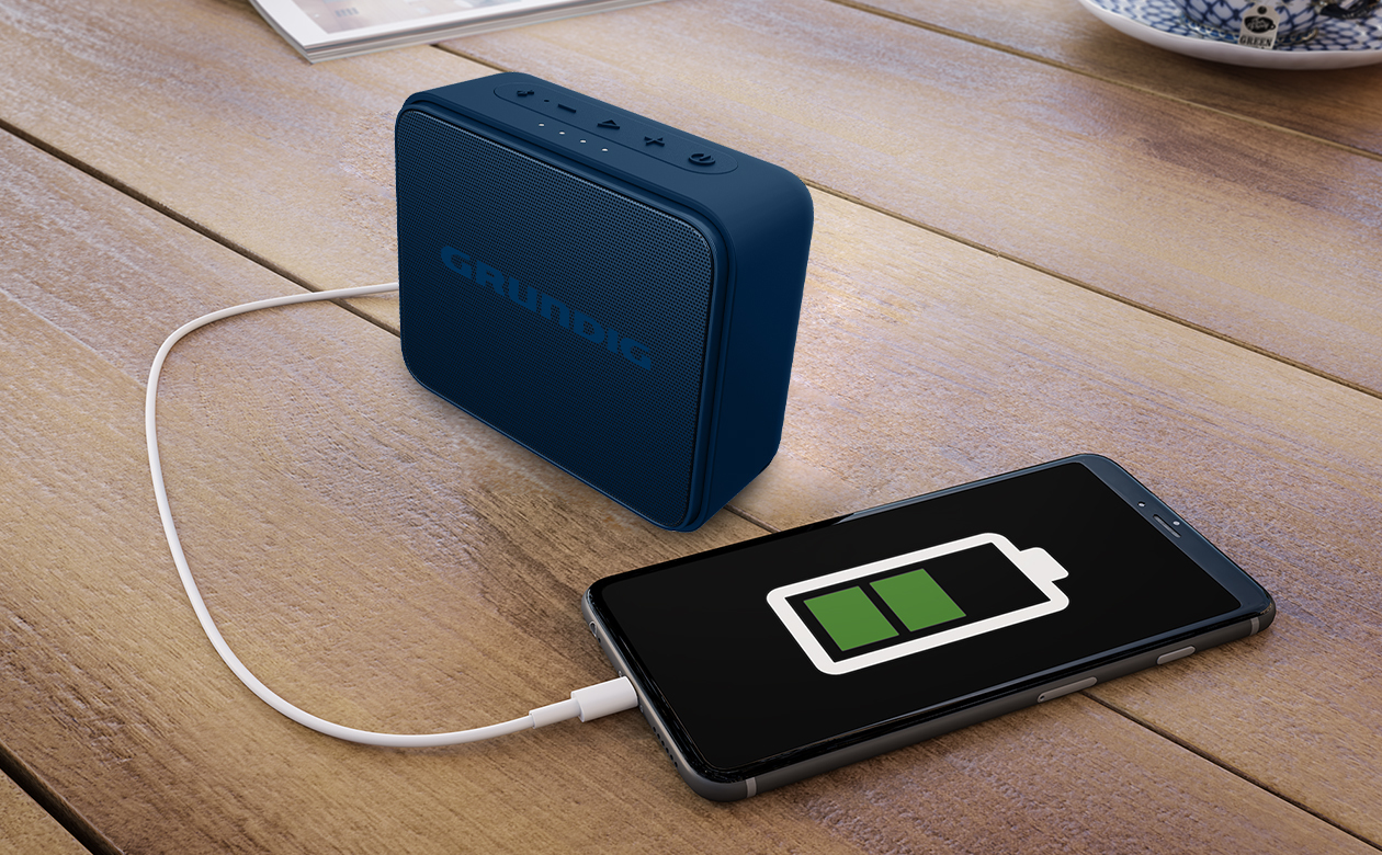 Grundig Jam Earth – image 3