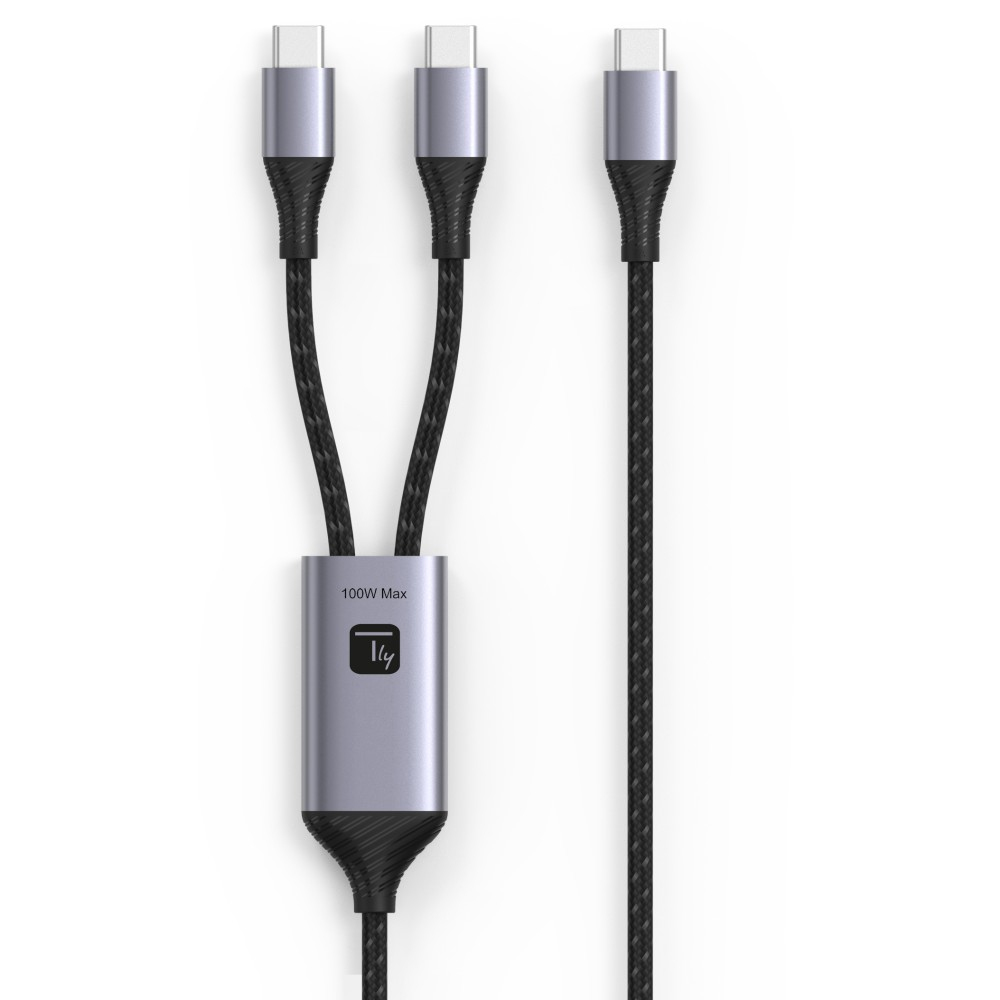 Techly ICOC MU2C-2C100W Cavo di ricarica USB-C a …