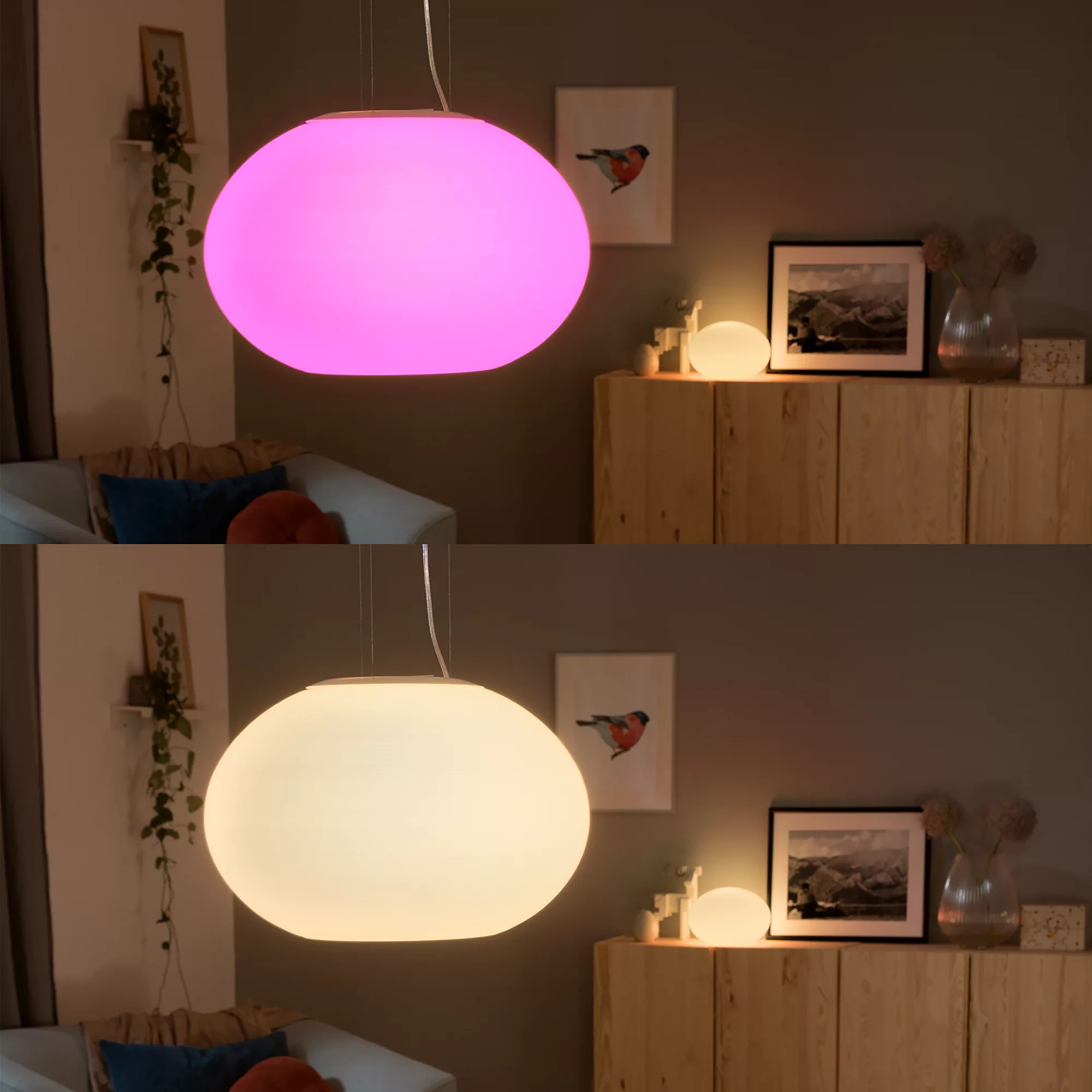 Philips by Signify Philips Hue White and colour ambience Flourish pendant light – image 3